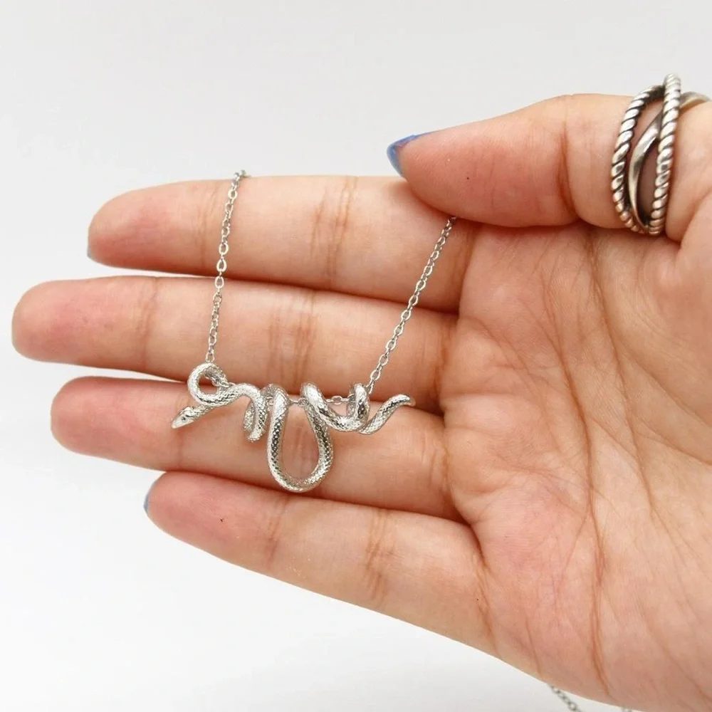 Wrap Around Silver Snake Necklace